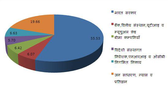 31 दिसंबर 2013 को शेयरधारिता पैटर्न का चार्ट